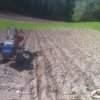 ferro su BCS 740 con seminapatate Marte